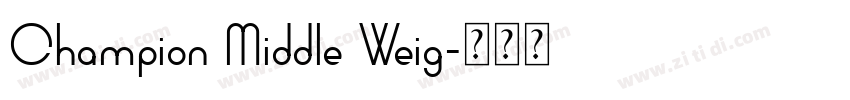 Champion Middle Weig字体转换